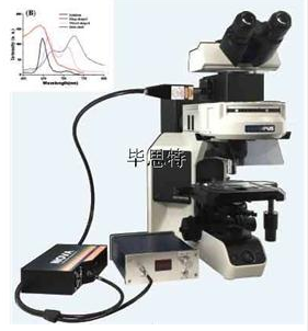 顯微分光光度計顯微光譜系統顯微分光光度計顯微紅外光譜儀、