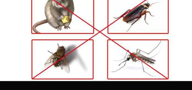 邯鄲滅蟑螂公司哪家好？哪家更專業？