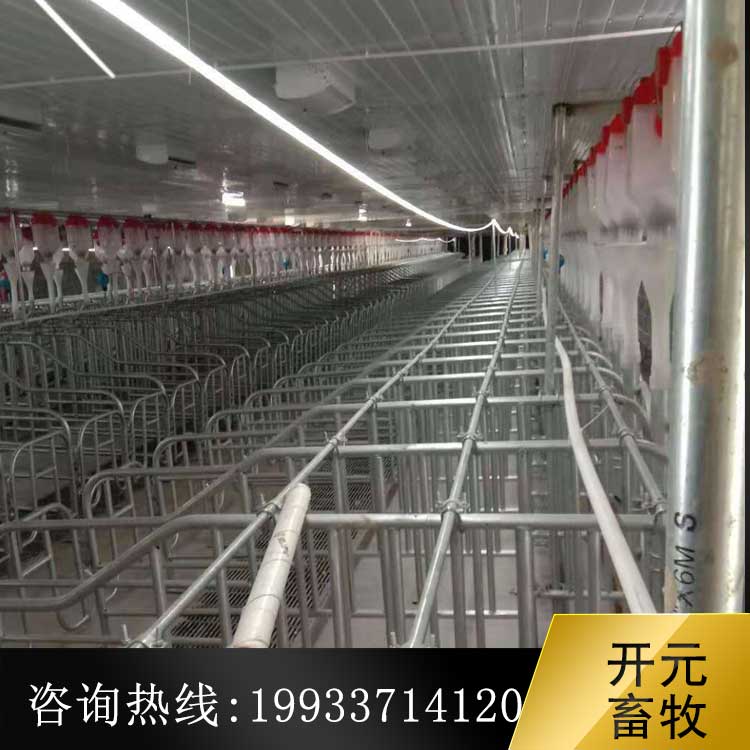 豬場自動(dòng)喂料線 自動(dòng)刮糞機(jī) 自動(dòng)料線母豬產(chǎn)床 自動(dòng)供料設(shè)備