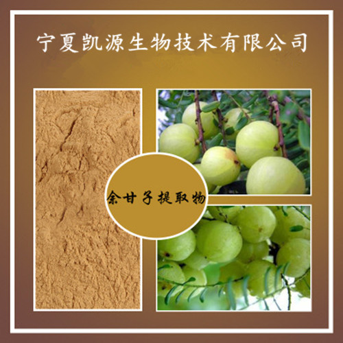 廠家供應(yīng) 余甘子提取物10:1 現(xiàn)貨包郵